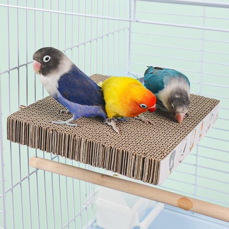 Parrot grinding claw cardboard layer