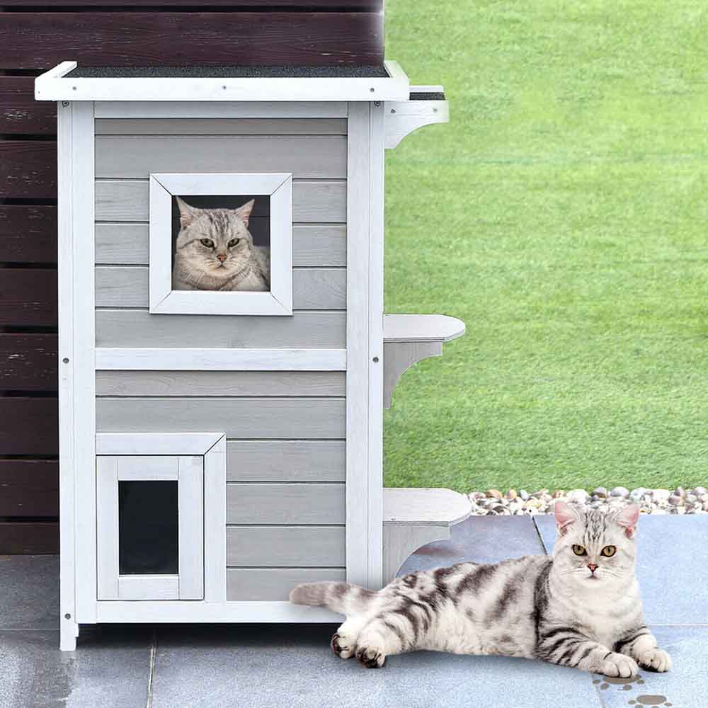 2-story cat house-2