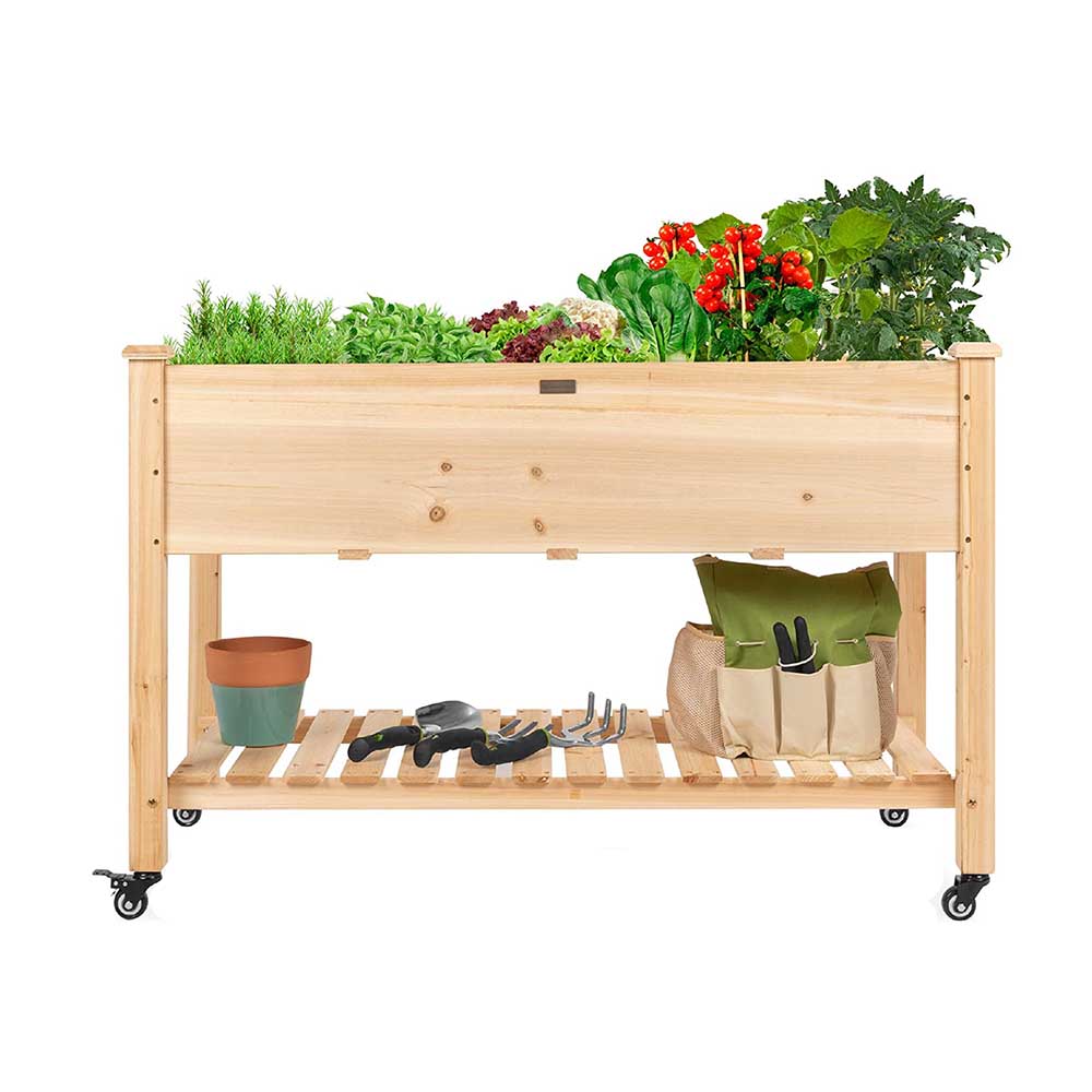 Rolling tree planter-1